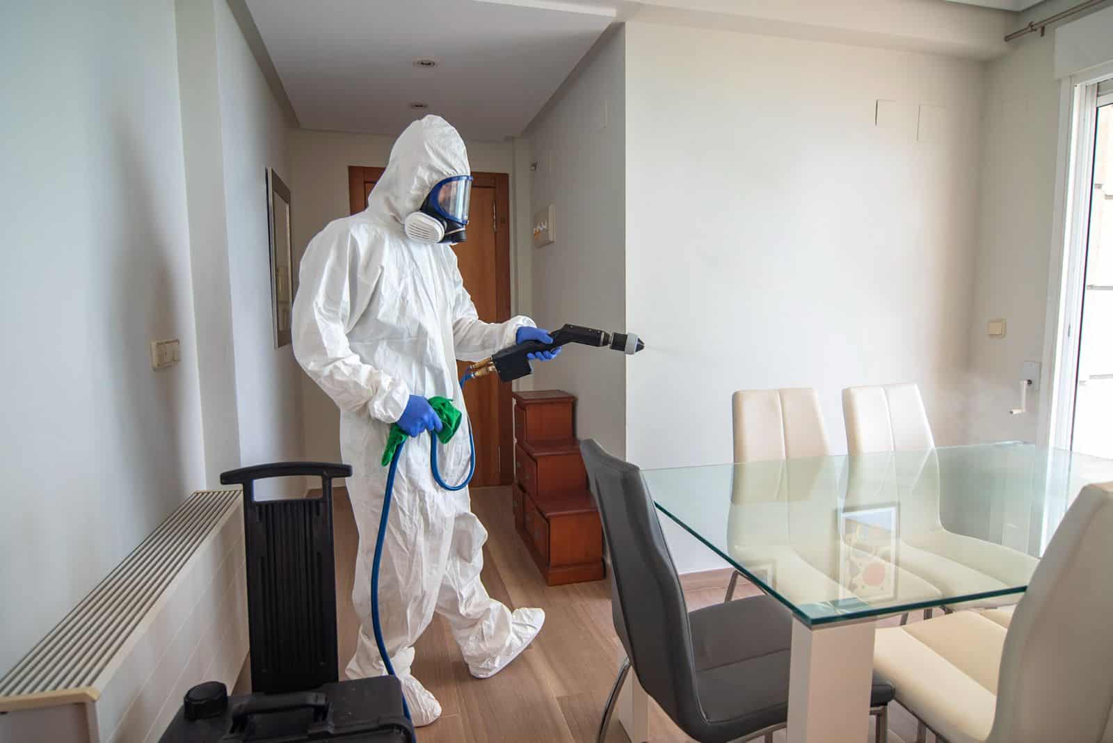 Dedetização de apartamento: quando fazer e por que é essencial